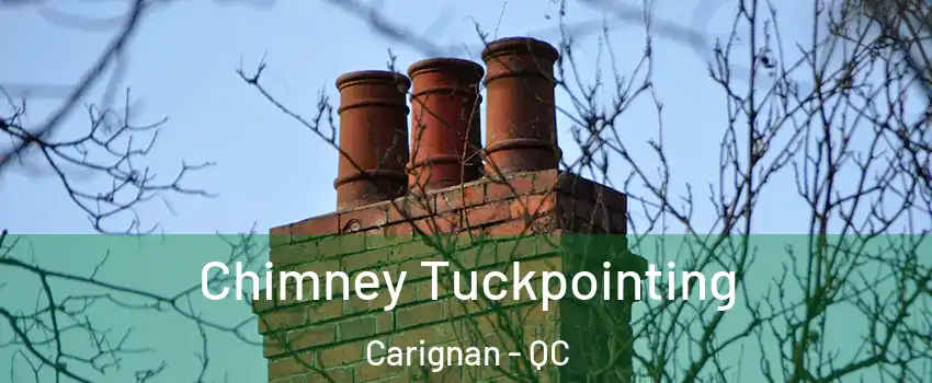  Chimney Tuckpointing Carignan - QC