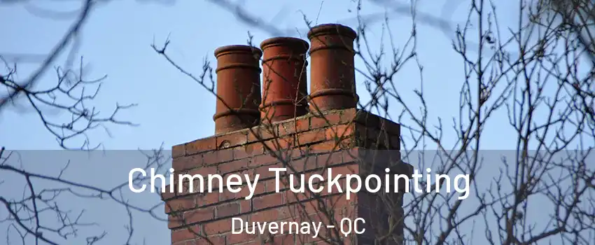  Chimney Tuckpointing Duvernay - QC