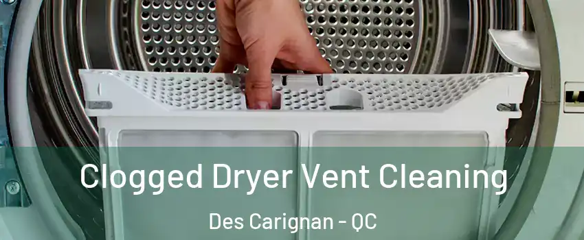  Clogged Dryer Vent Cleaning Des Carignan - QC
