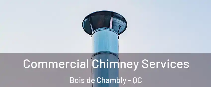  Commercial Chimney Services Bois de Chambly - QC