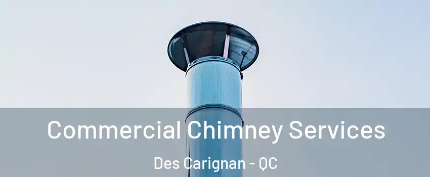  Commercial Chimney Services Des Carignan - QC