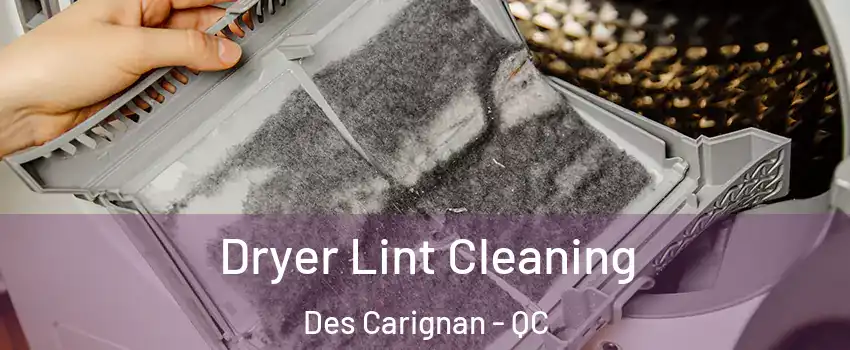  Dryer Lint Cleaning Des Carignan - QC