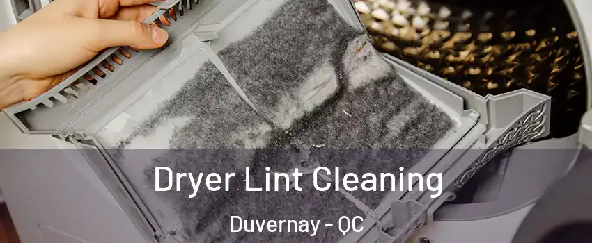  Dryer Lint Cleaning Duvernay - QC
