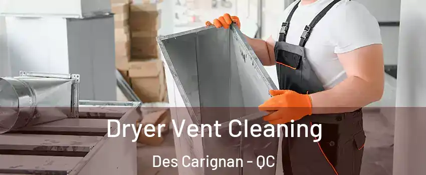  Dryer Vent Cleaning Des Carignan - QC