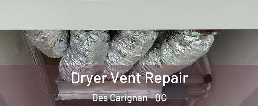  Dryer Vent Repair Des Carignan - QC