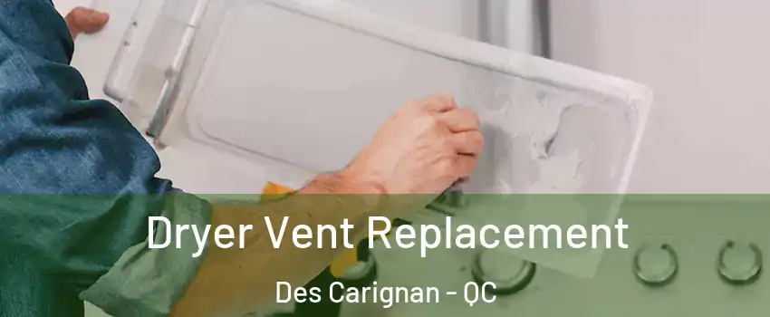  Dryer Vent Replacement Des Carignan - QC