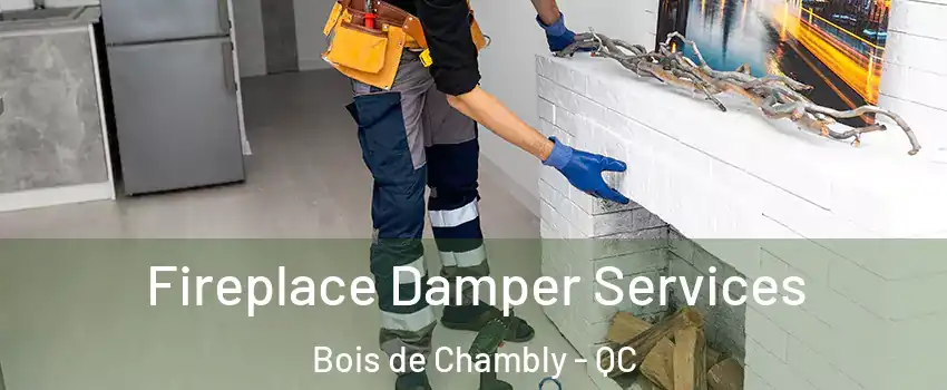 Fireplace Damper Services Bois de Chambly - QC