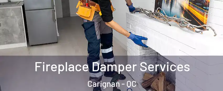  Fireplace Damper Services Carignan - QC