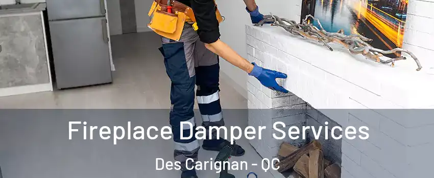  Fireplace Damper Services Des Carignan - QC
