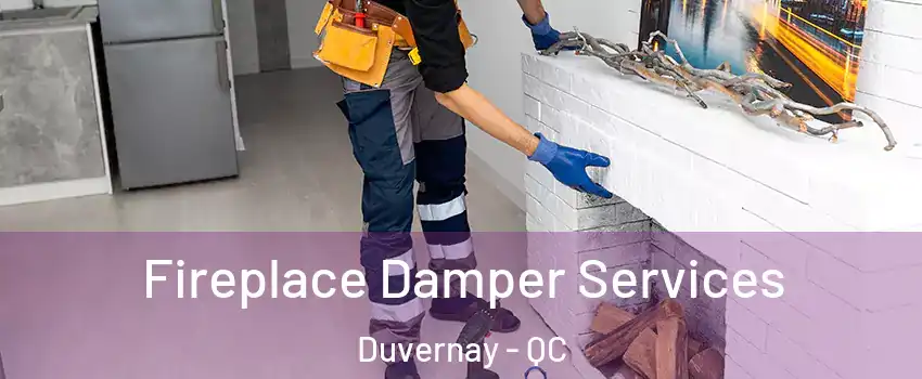  Fireplace Damper Services Duvernay - QC