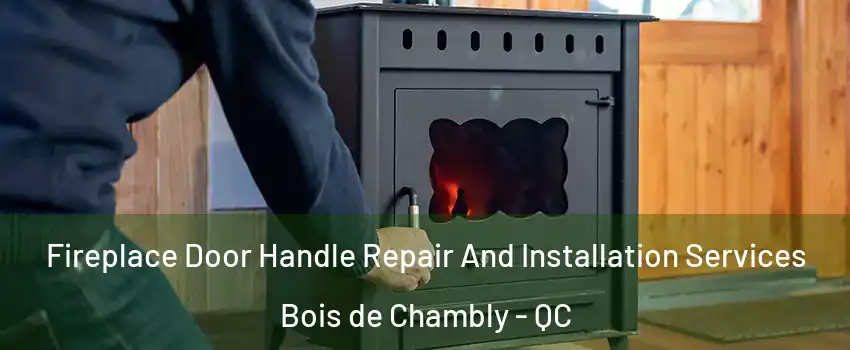  Fireplace Door Handle Repair And Installation Services Bois de Chambly - QC