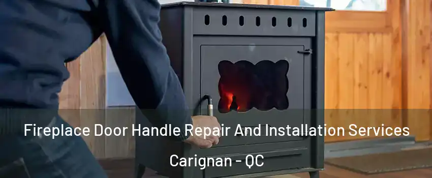  Fireplace Door Handle Repair And Installation Services Carignan - QC