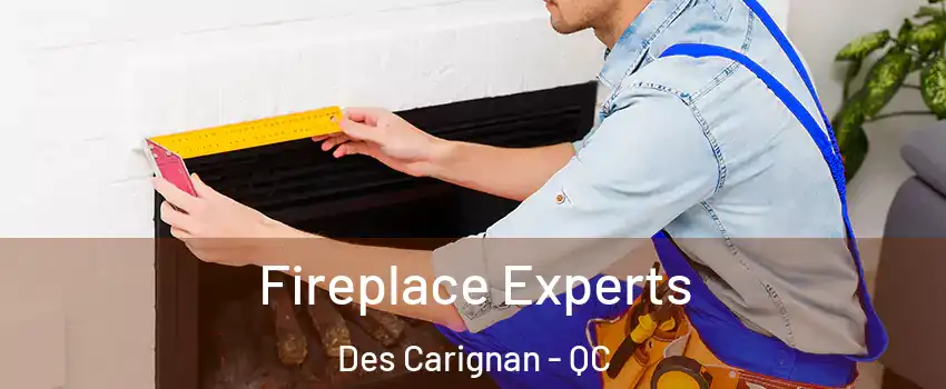  Fireplace Experts Des Carignan - QC
