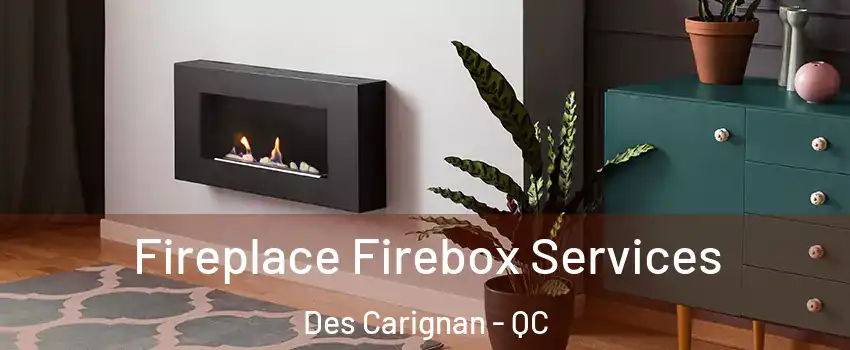  Fireplace Firebox Services Des Carignan - QC