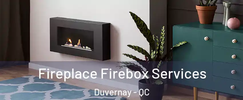  Fireplace Firebox Services Duvernay - QC