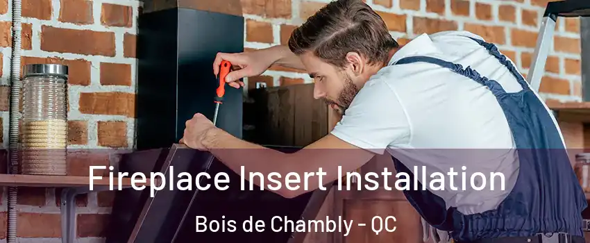  Fireplace Insert Installation Bois de Chambly - QC