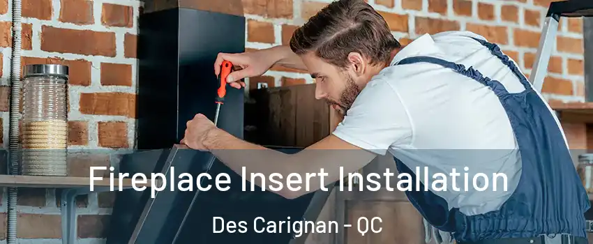  Fireplace Insert Installation Des Carignan - QC