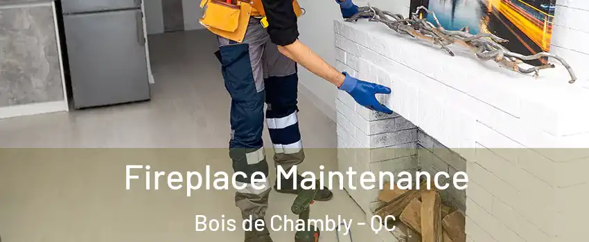  Fireplace Maintenance Bois de Chambly - QC