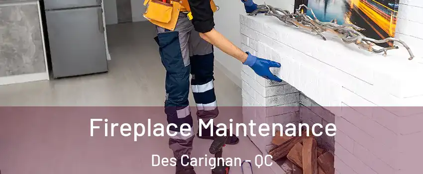 Fireplace Maintenance Des Carignan - QC