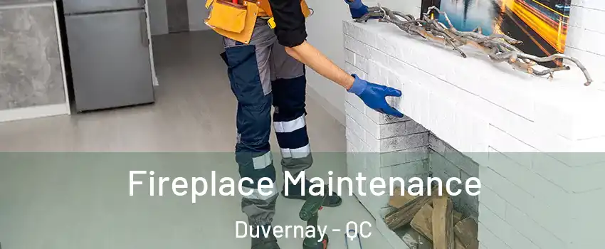  Fireplace Maintenance Duvernay - QC