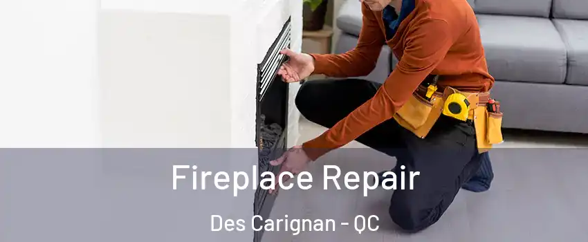  Fireplace Repair Des Carignan - QC