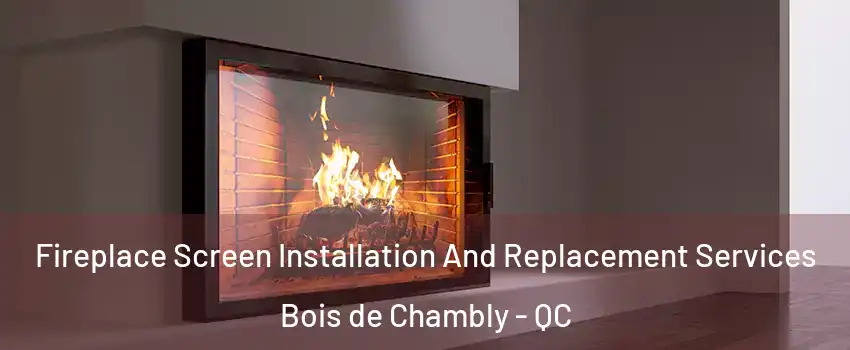 Fireplace Screen Installation And Replacement Services Bois de Chambly - QC
