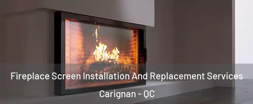 Fireplace Screen Installation And Replacement Services Carignan - QC