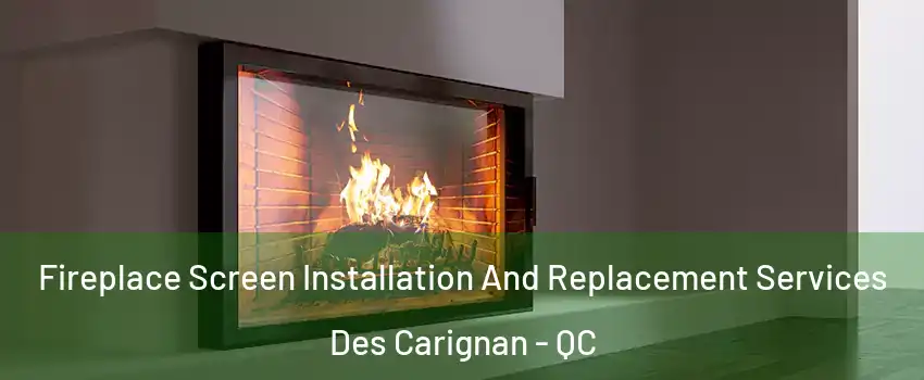 Fireplace Screen Installation And Replacement Services Des Carignan - QC