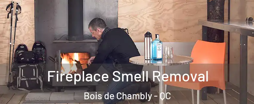  Fireplace Smell Removal Bois de Chambly - QC