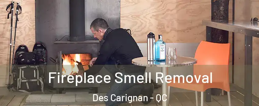  Fireplace Smell Removal Des Carignan - QC