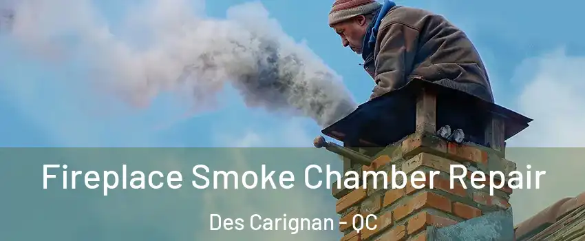  Fireplace Smoke Chamber Repair Des Carignan - QC