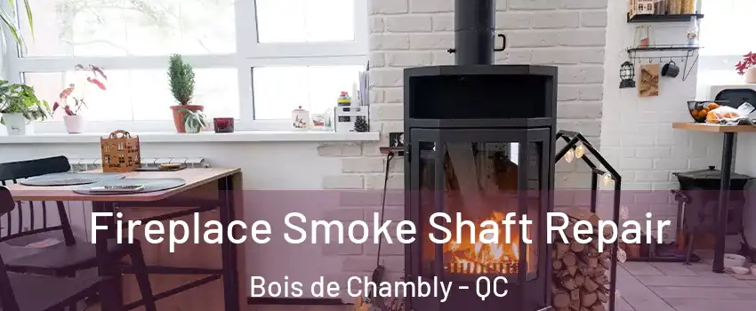  Fireplace Smoke Shaft Repair Bois de Chambly - QC