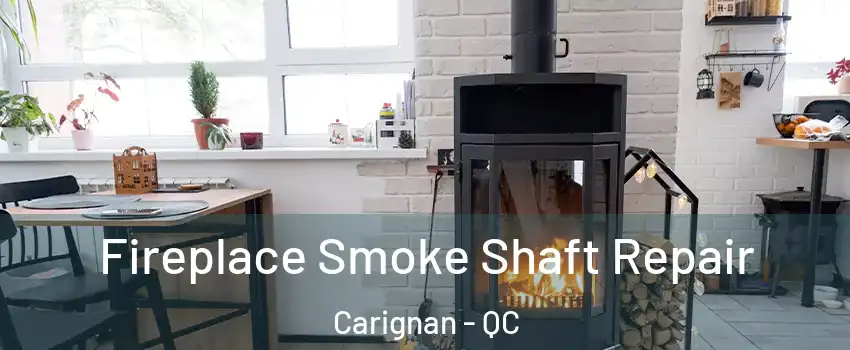  Fireplace Smoke Shaft Repair Carignan - QC