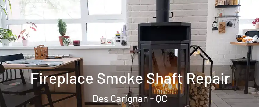  Fireplace Smoke Shaft Repair Des Carignan - QC