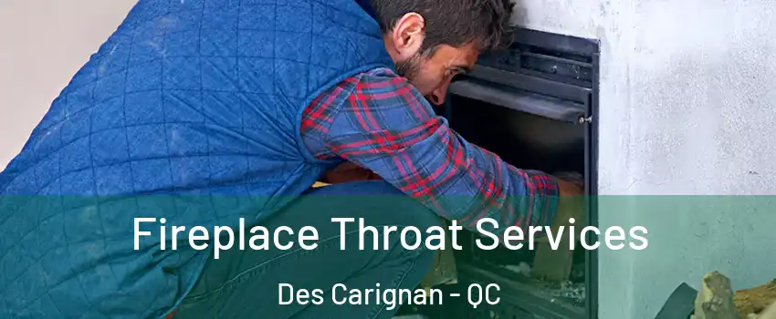  Fireplace Throat Services Des Carignan - QC