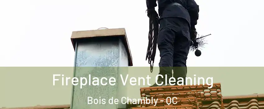  Fireplace Vent Cleaning Bois de Chambly - QC