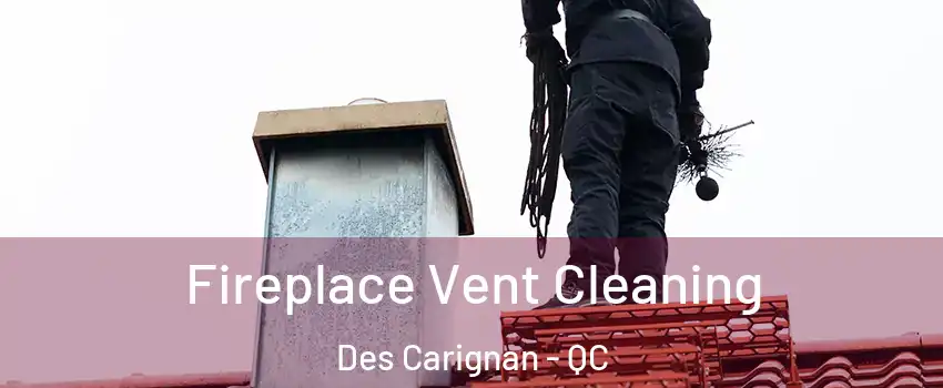  Fireplace Vent Cleaning Des Carignan - QC
