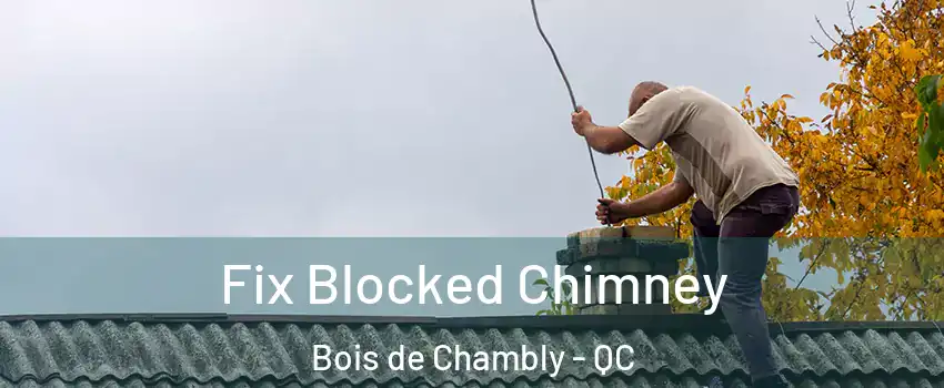  Fix Blocked Chimney Bois de Chambly - QC