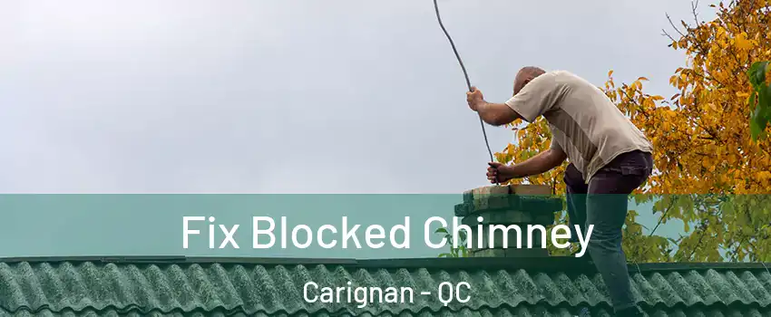  Fix Blocked Chimney Carignan - QC