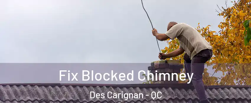  Fix Blocked Chimney Des Carignan - QC