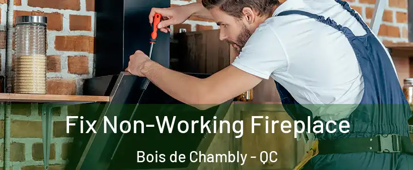  Fix Non-Working Fireplace Bois de Chambly - QC