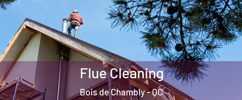  Flue Cleaning Bois de Chambly - QC