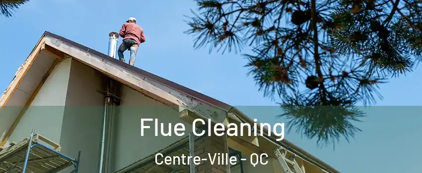  Flue Cleaning Centre-Ville - QC