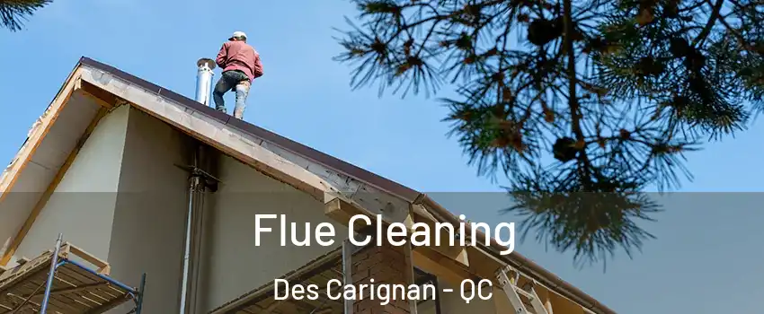  Flue Cleaning Des Carignan - QC