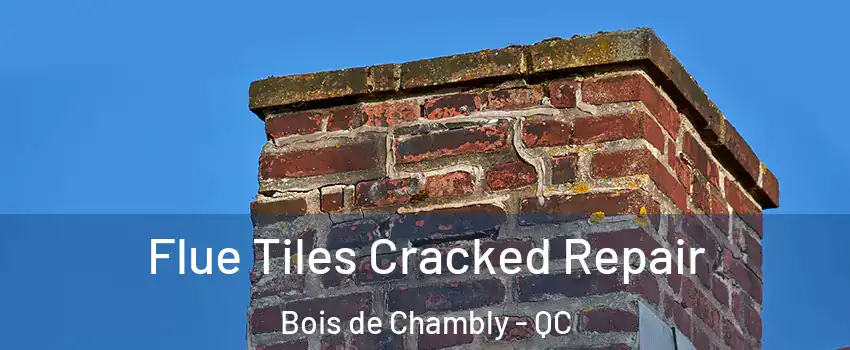  Flue Tiles Cracked Repair Bois de Chambly - QC