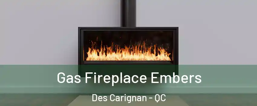  Gas Fireplace Embers Des Carignan - QC