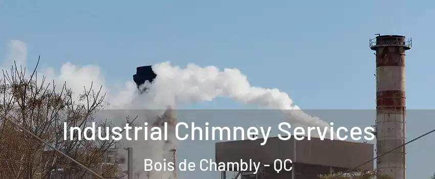  Industrial Chimney Services Bois de Chambly - QC