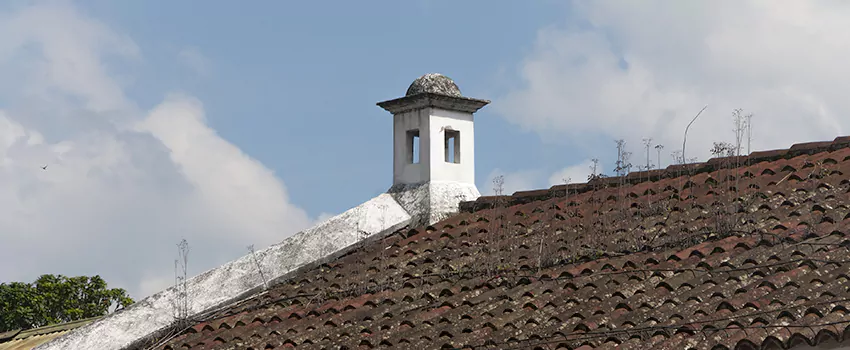 Wind-Resistant Chimney Caps Installation and Repair Services in Chambly, Quebec