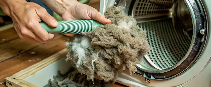 Best Dryer Lint Removal Company in Chambly Heights, Quebec