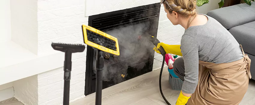 Fireplace Doors Cleaning in Des Carignan, Quebec